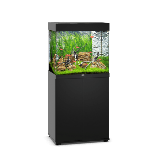 JUWEL Lido 120 LED Aquarium
