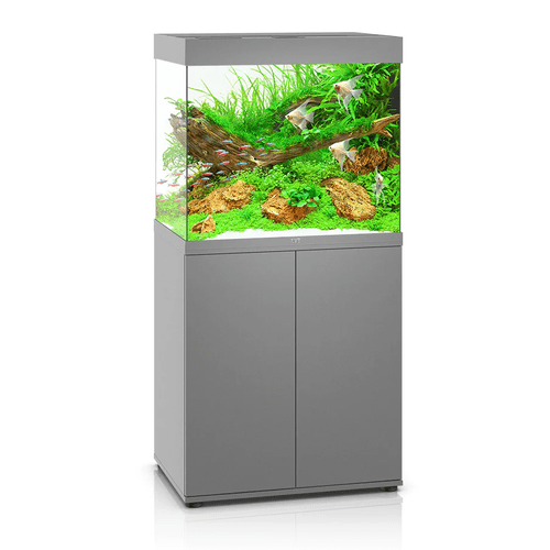 JUWEL Lido 200 LED Aquarium
