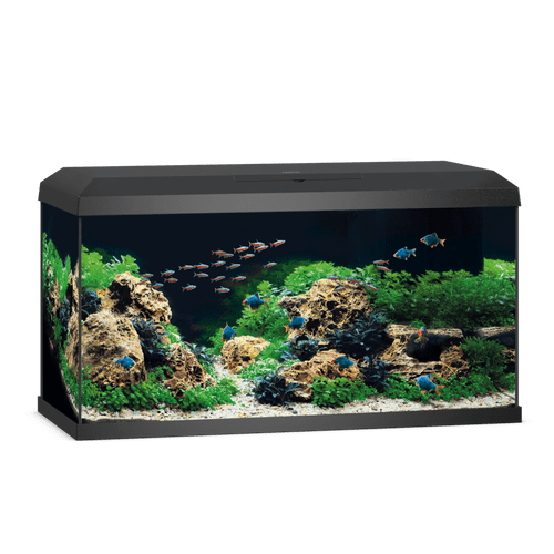 JUWEL Primo 110 LED 2.0 Aquarium