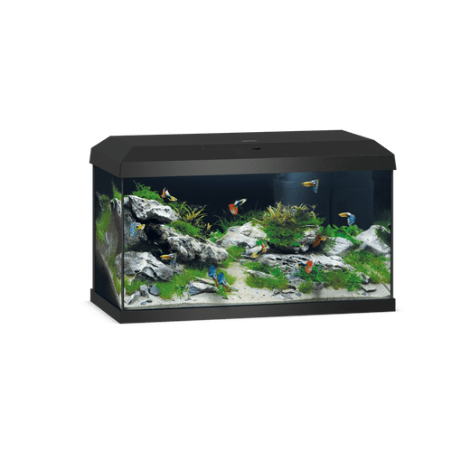 JUWEL Primo 60 LED 2.0 Aquarium