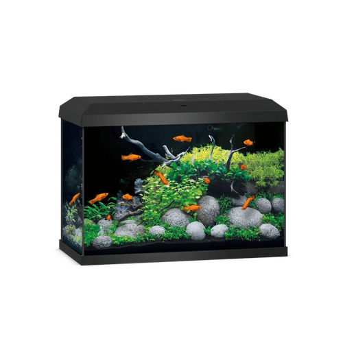 JUWEL Primo 70 LED 2.0 Aquarium