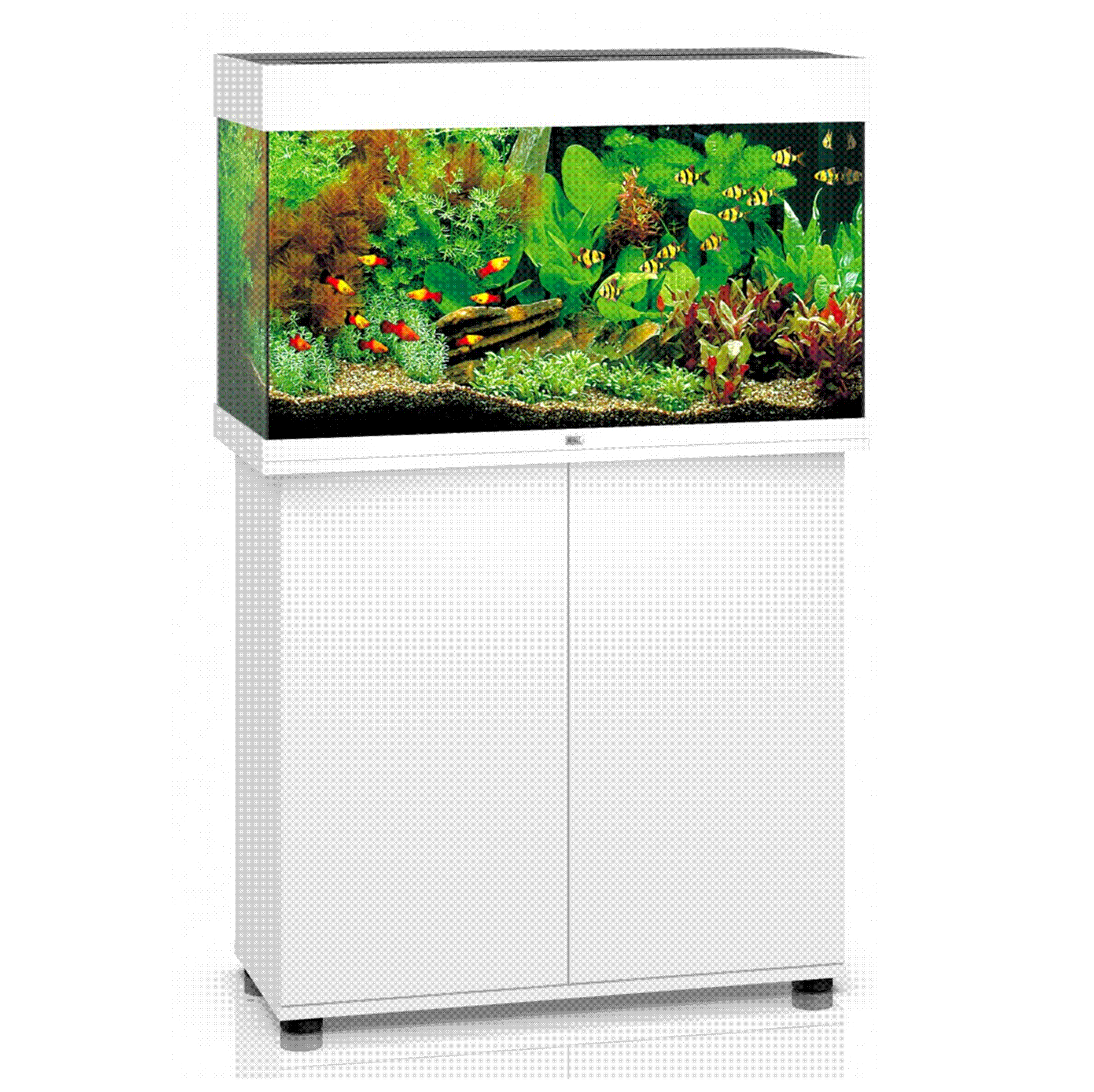 JUWEL Rio 125 LED Aquarium