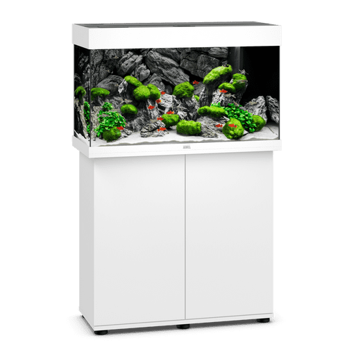 JUWEL Rio 125 LED Aquarium