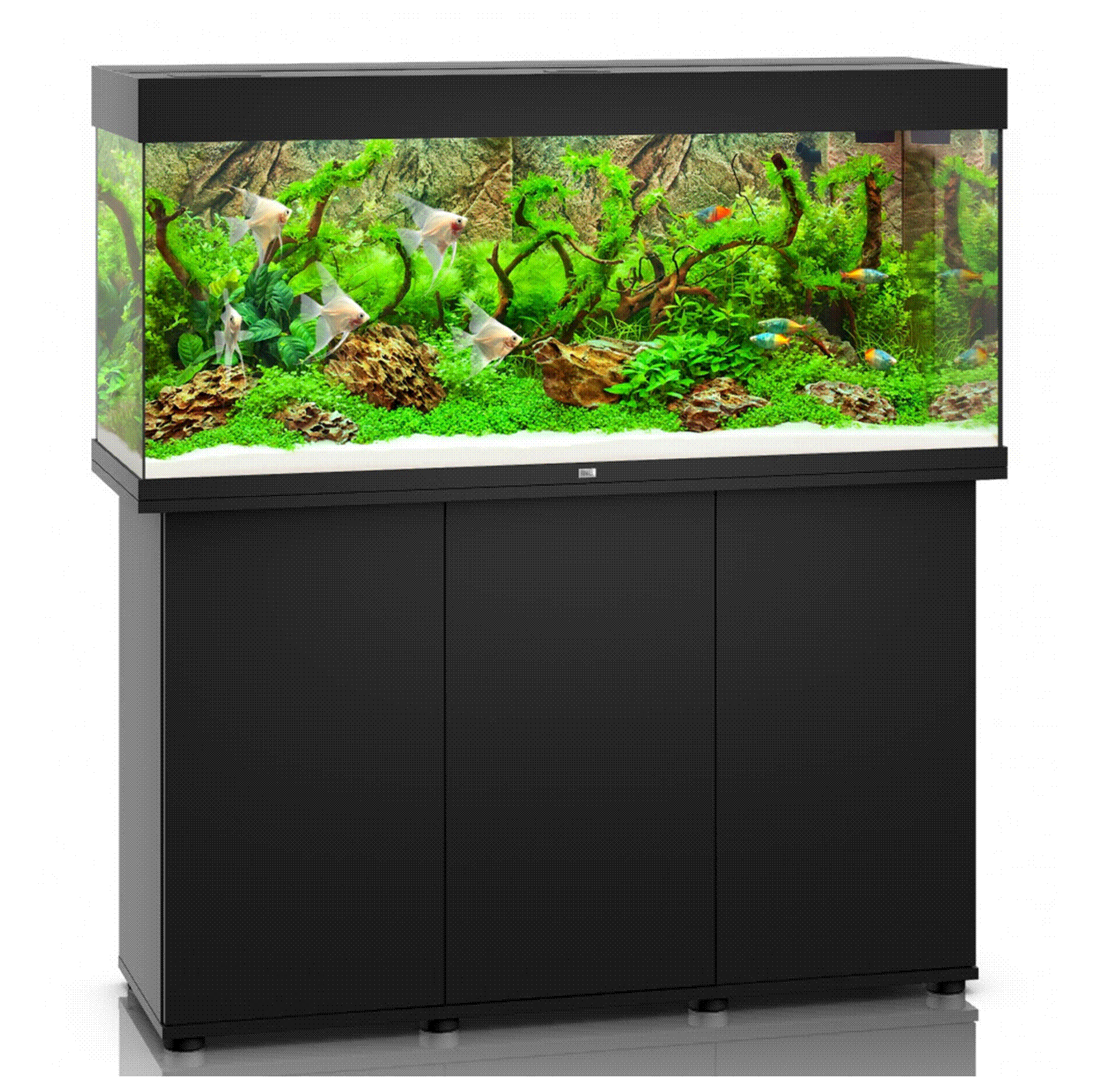 JUWEL Rio 240 LED Aquarium