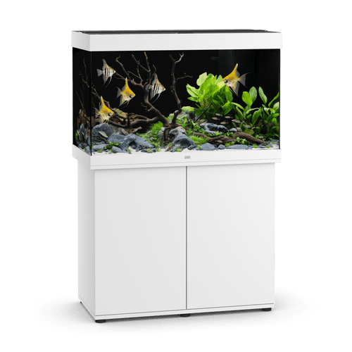 JUWEL Rio 290 LED Aquarium
