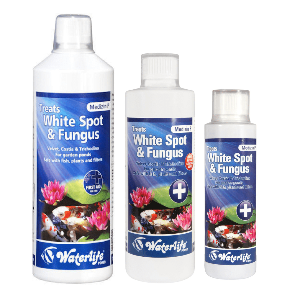 Medizin P Parasite Fungus Pond WATERLIFE
