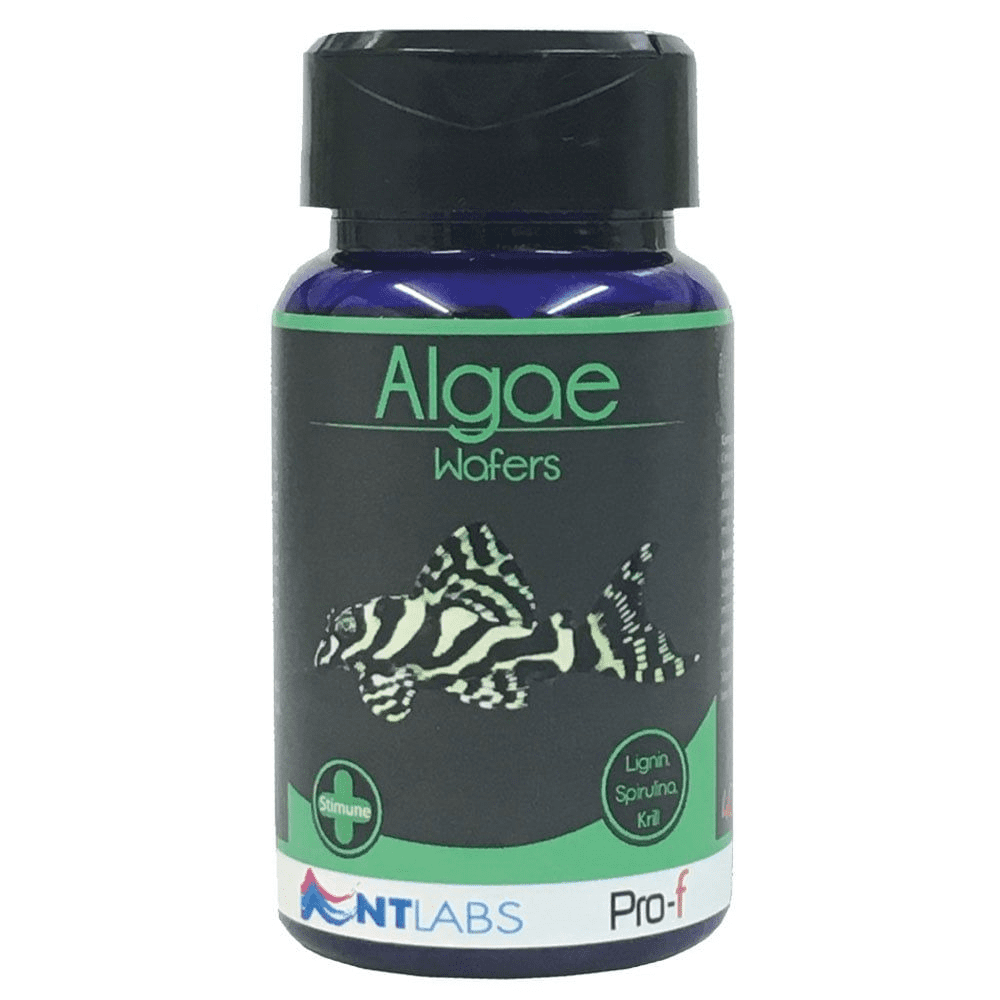 Pro-f Algae Wafers NT Labs 40g