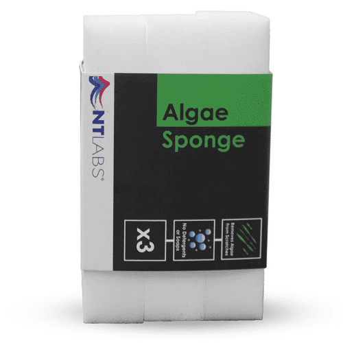ProCare Algae Sponge x 3 - NT Labs