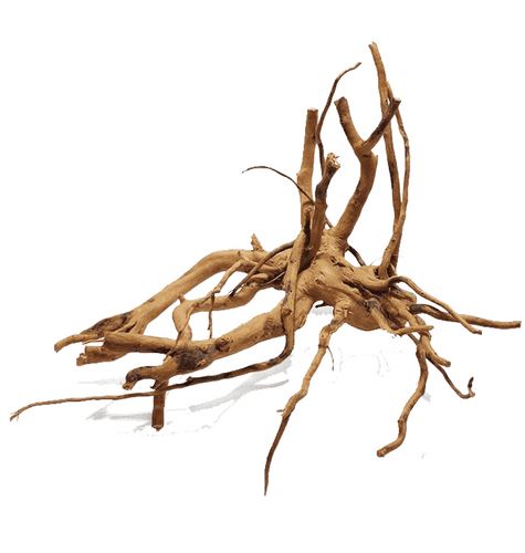 Red Moor Wood Natural Driftwood