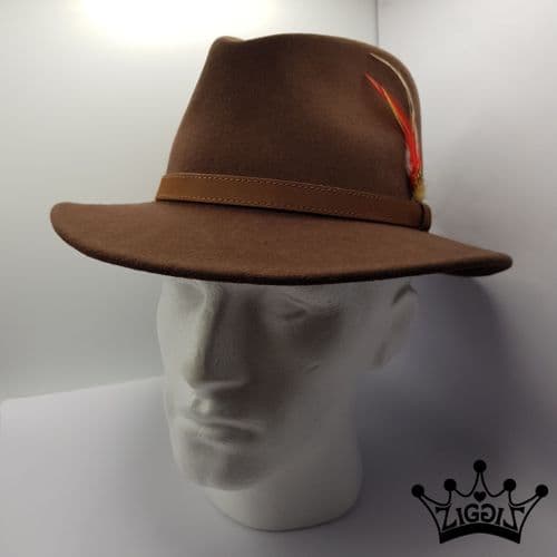 Brown Fedora