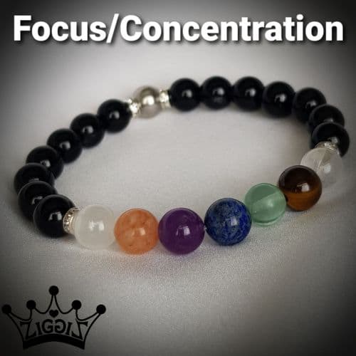 Focus/Concentration