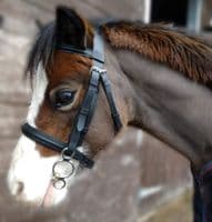 10mm Double Jointed 3 Ring Gag Bit