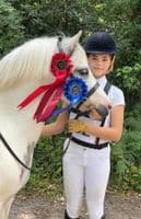 10mm Double Jointed 3 Ring Gag Bit