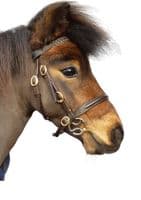 10mm Double Jointed Wilkie Snaffle.  40mm Rings