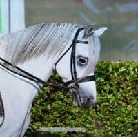 Diddy Bit Pelham 10mm