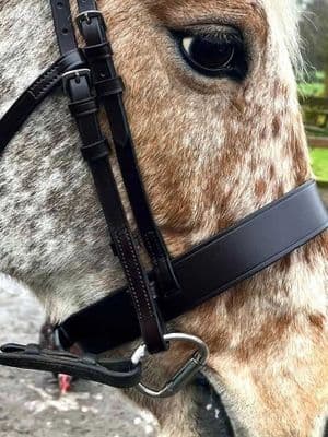 Hunter noseband