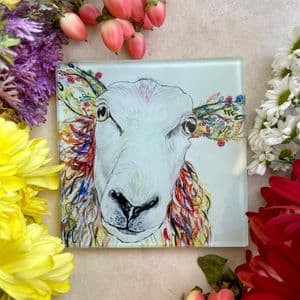 BAABARA SHEEP ECO-COASTER