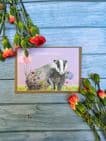 BADGER BIRTHDAY ECO CARD