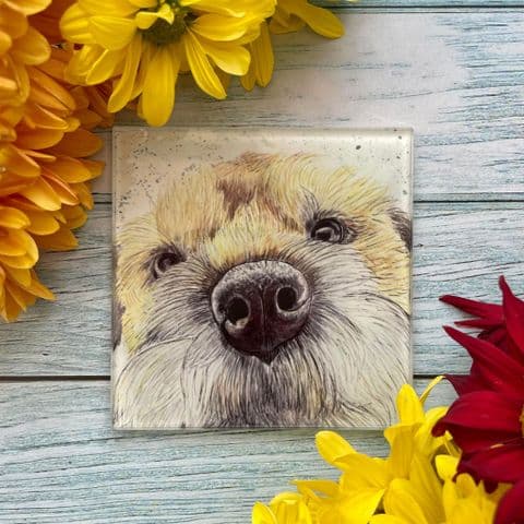 BORDER TERRIER ECO-COASTER