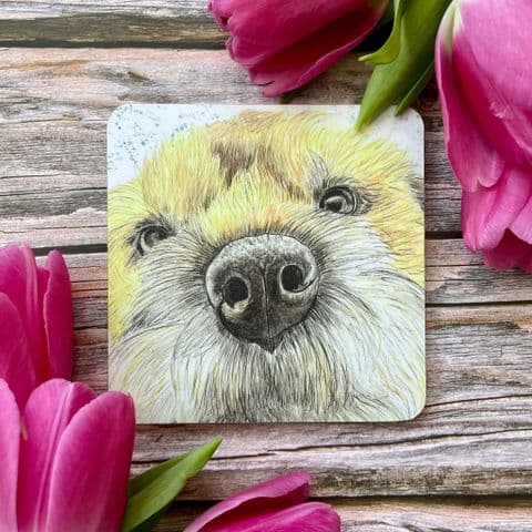 BORDER TERRIER LUXURY CORK COASTER