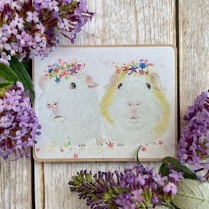 BUBBLE AND SQUEAK THE GUINEA PIGS ECO FRIDGE MAGNET