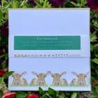 ECO NOTECARDS - PACK OF 5 MIXED DESIGNS