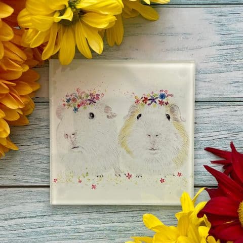 GUINEA PIG ECO-COASTER