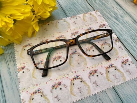 GUINEA PIGS LENS CLOTH