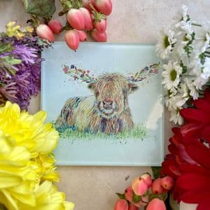 HAGRID THE HIGHLAND COO ECO-COASTER