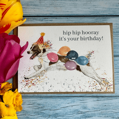 HIP HIP HOORAY IT'S YOUR BIRTHDAY SPANIEL ECO CARD