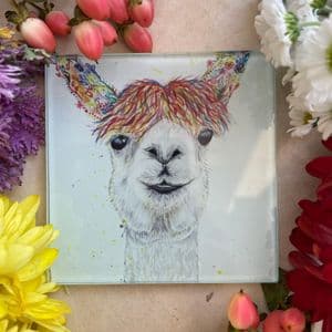 LILY THE LLAMA ECO-COASTER