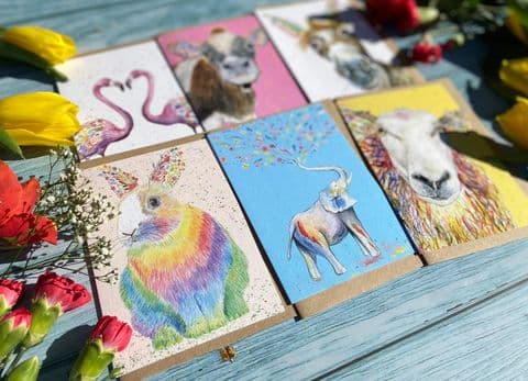 MIX AND MATCH 5 ECO CARDS