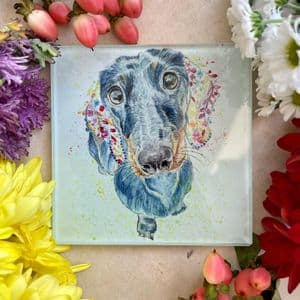 MOOSE THE DACHSHUND ECO-COASTER