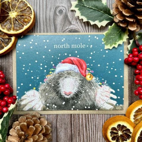 NORTH MOLE CHRISTMAS ECO CARD