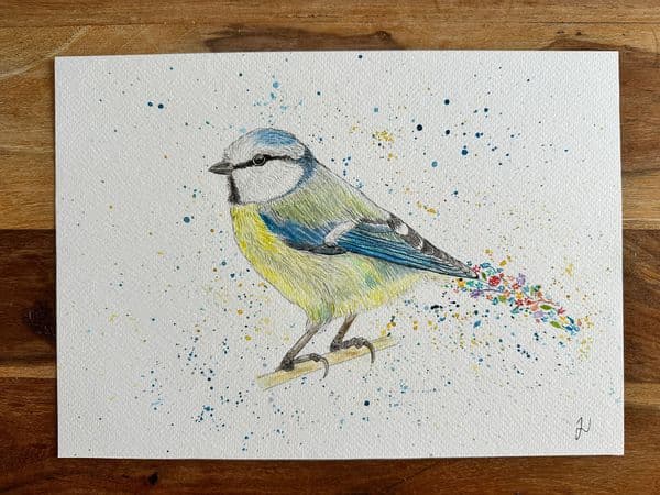 Original Betty the Bluetit Unframed