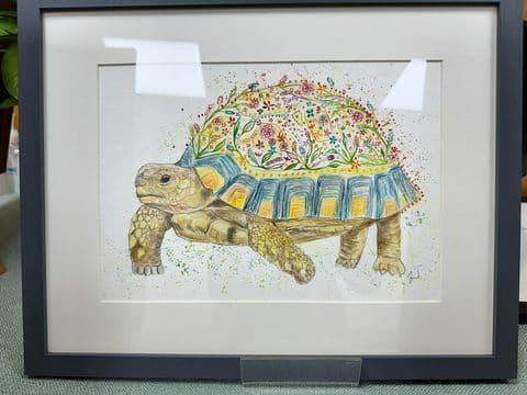 Original Terry the Tortoise