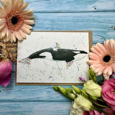 ORLA THE ORCA ECO-CARD