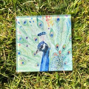 PICASSO THE PEACOCK ECO-COASTER