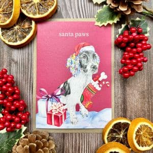 SANTA PAWS CHRISTMAS ECO CARD