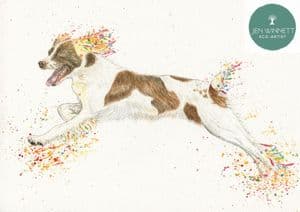 SPRING THE SPANIEL - SIGNED PRINT