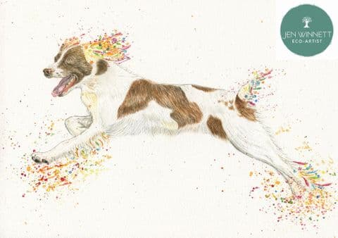SPRING THE SPANIEL - SIGNED PRINT