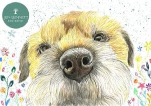 TILLY THE BORDER TERRIER - SIGNED PRINT
