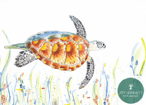 TRANQUILITY THE TURTLE - SIGNED PRINT