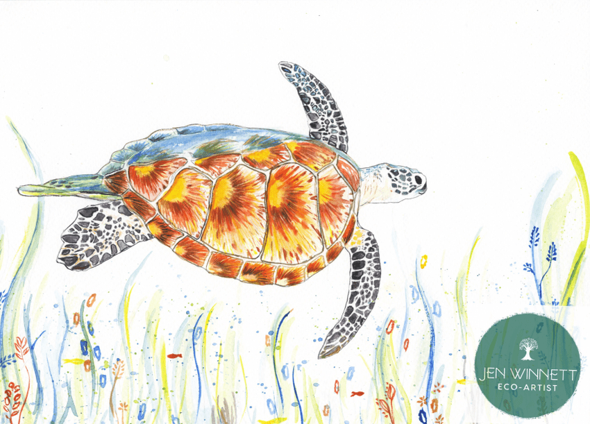 TRANQUILITY THE TURTLE - SIGNED PRINT