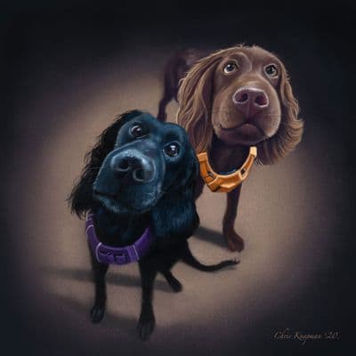 Pet Caricatures