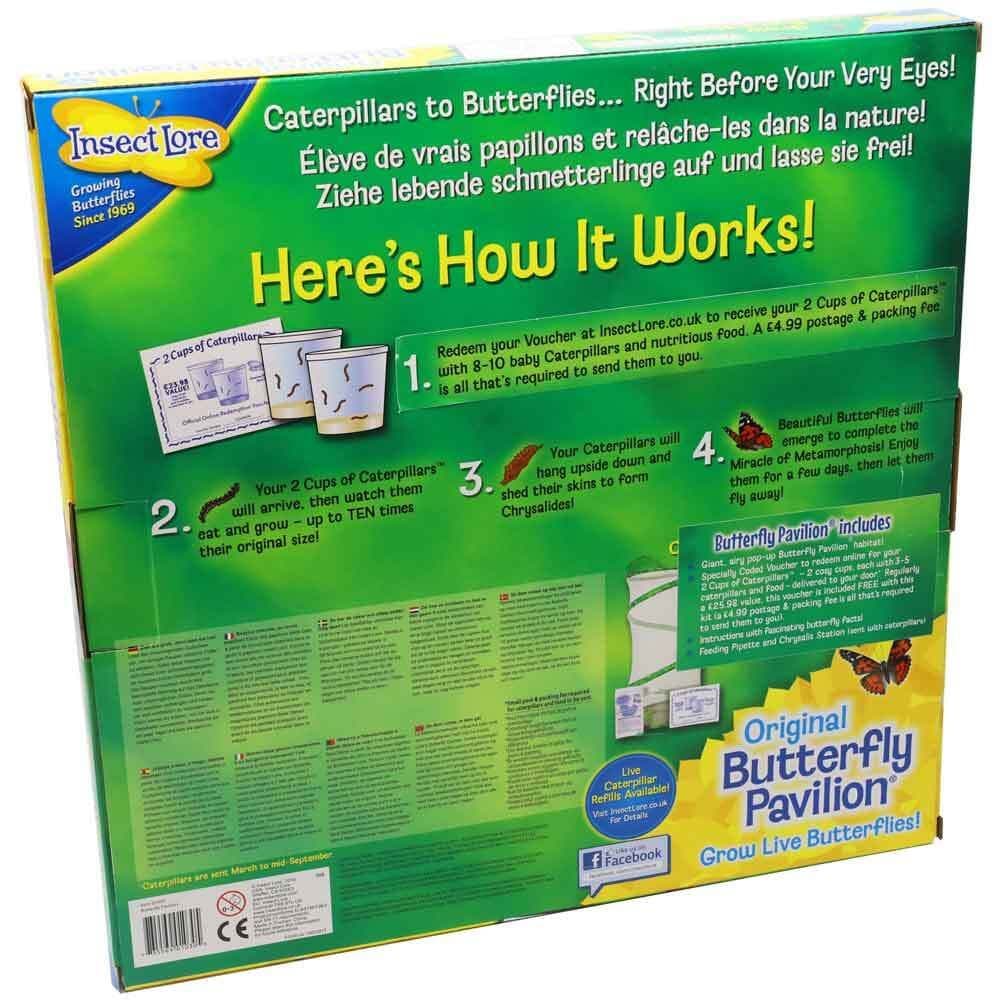 Insect Lore Live Butterfly Pavilion Hatching Kit