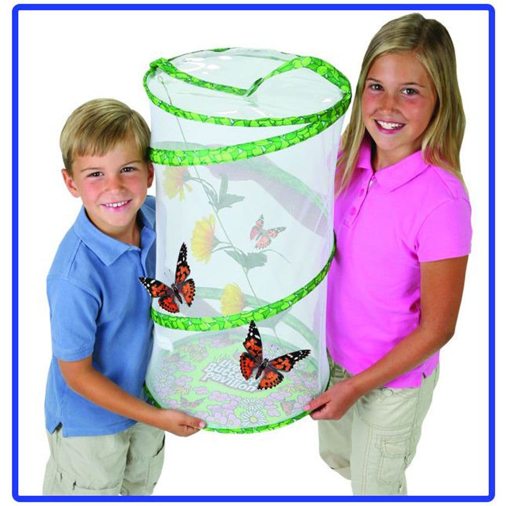 Insect Lore Live Butterfly Pavilion Hatching Kit