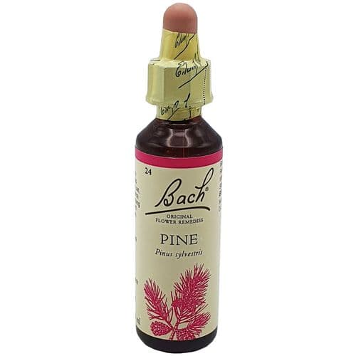 Pine Bach Flower Remedy 20ml