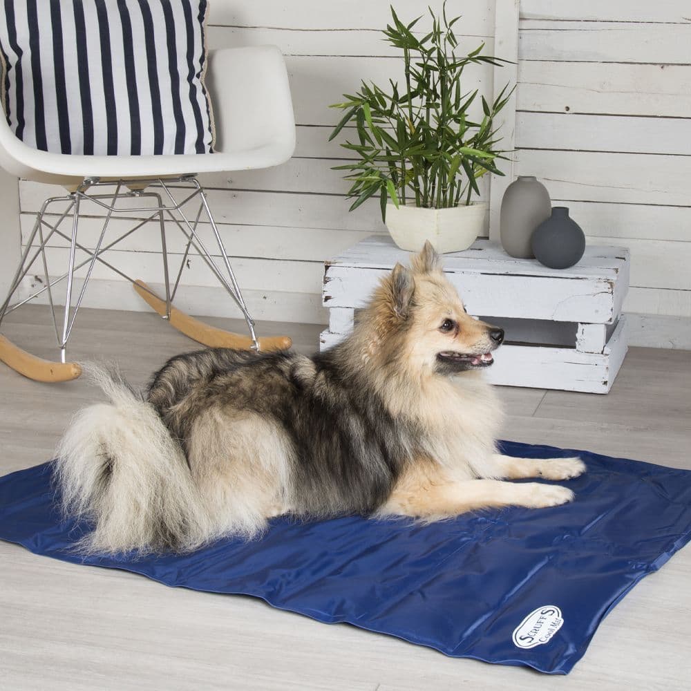 Scruffs Cool Mat Extra Large 120cm x 75cm