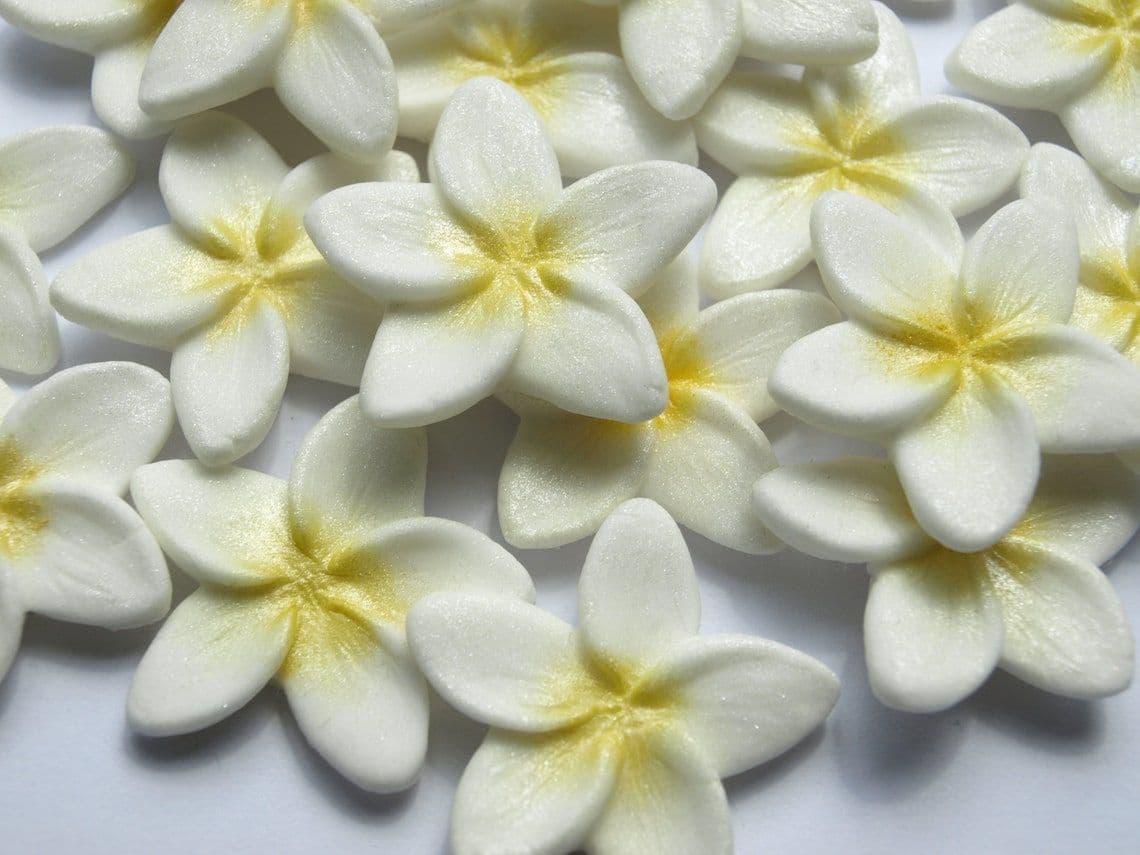 18x Edible Plumeria Flowers Fondant Tropical Frangipani Birthday Cake